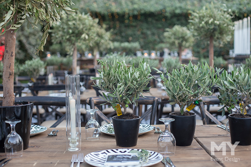 My Event Design | Olive Groves
